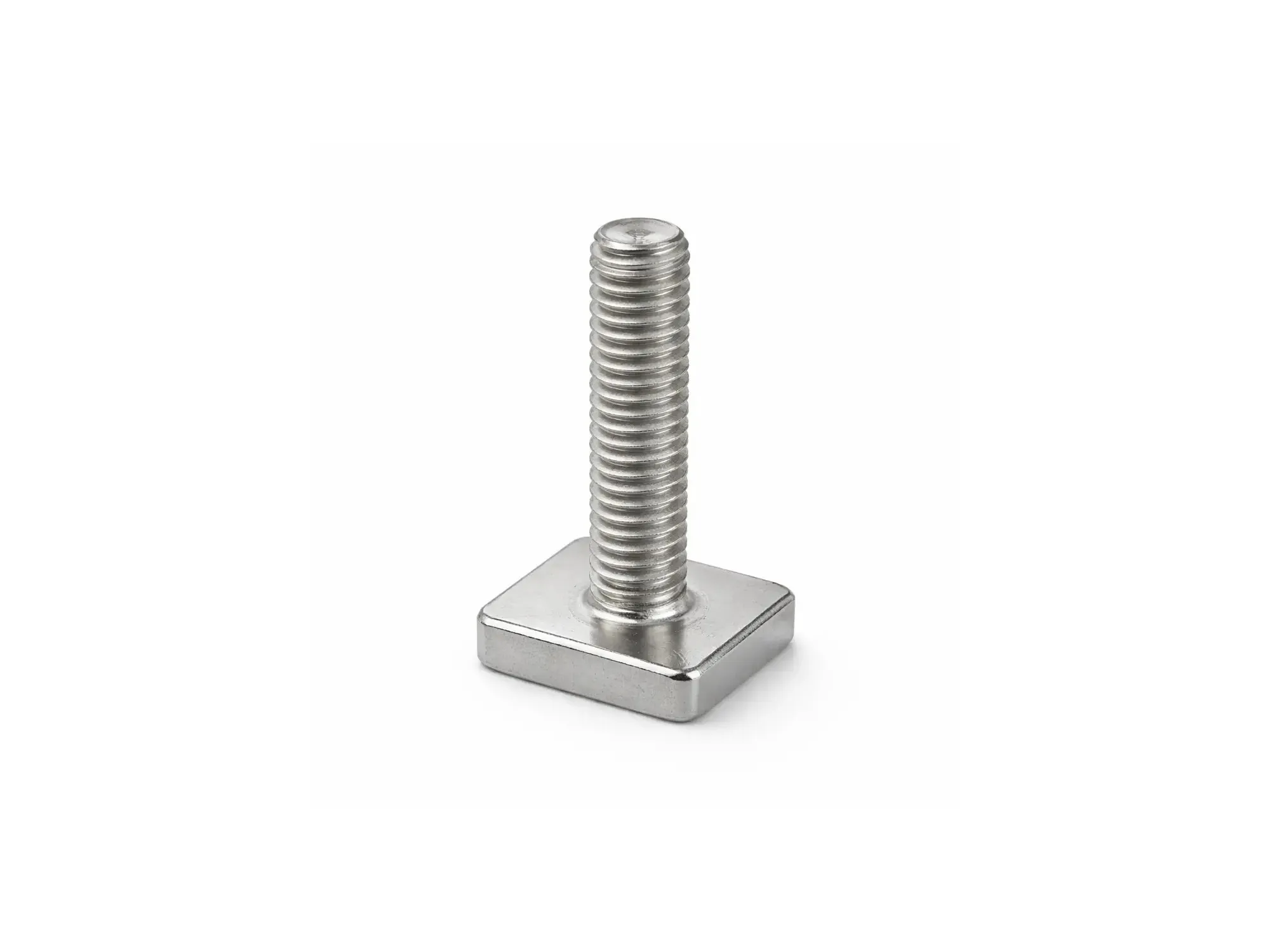 SNAILER® - Tornillo en T 2×2 cm para accesorios