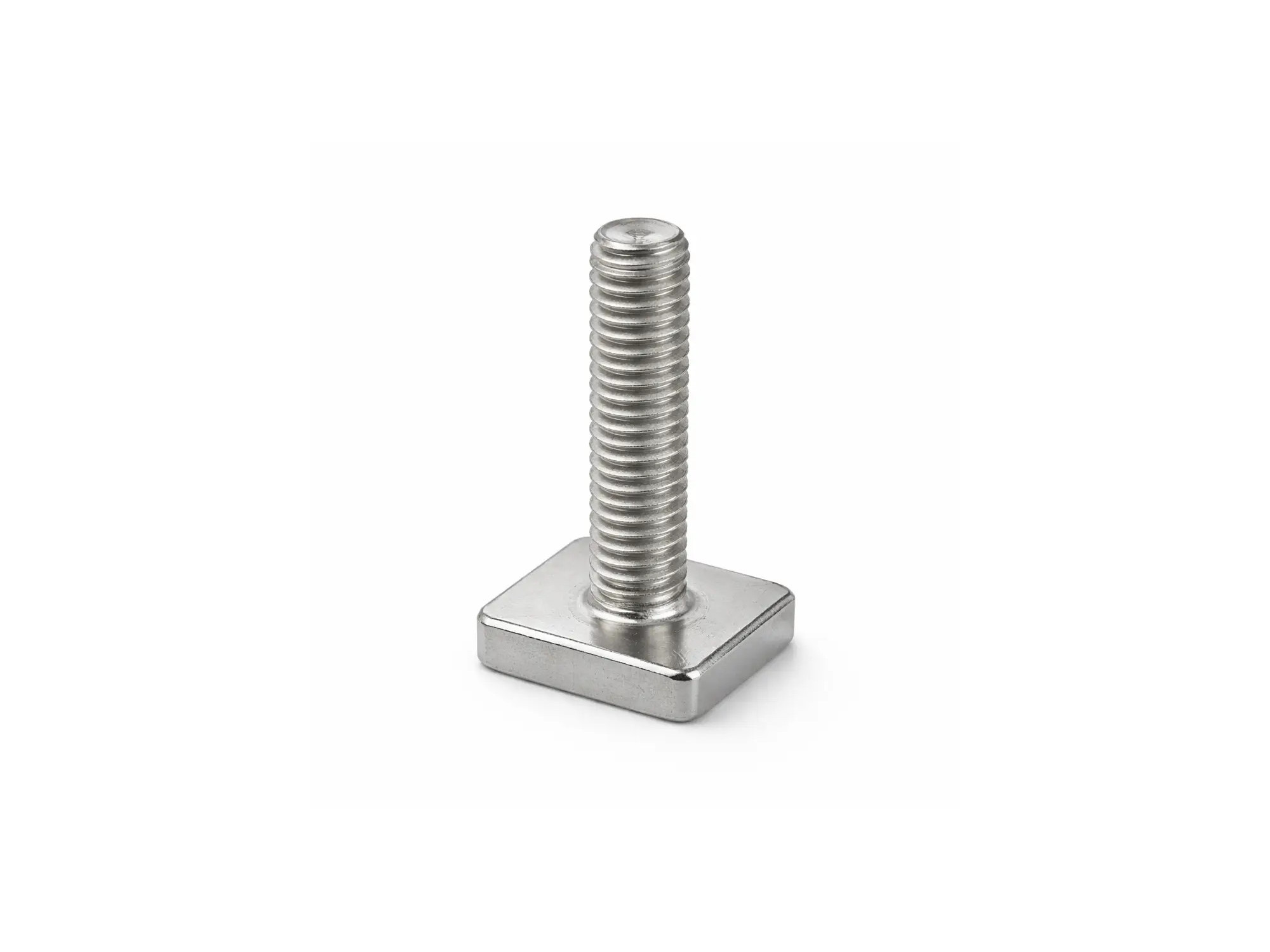SNAILER® - Tornillo en T 2×2 cm para accesorios